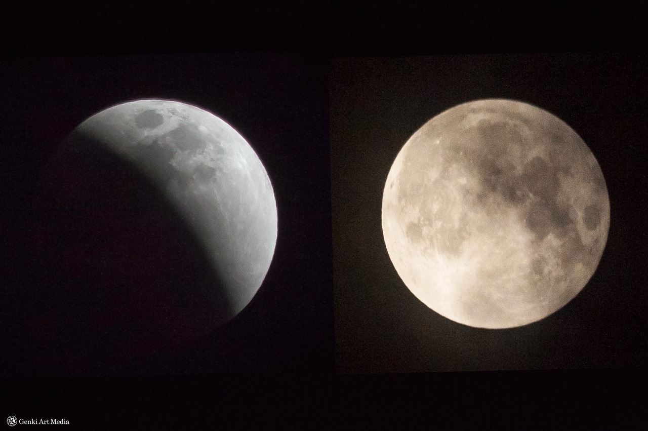 <p>A glimpse of the Blood Moon Eclipse from an overcast Tokyo sky.<br/><br/>I went out side a couple times to see it, and was able to get a couple shots during openings in the overcast sky. 400mm lens hand held, cropped and arranged in edit.</p>