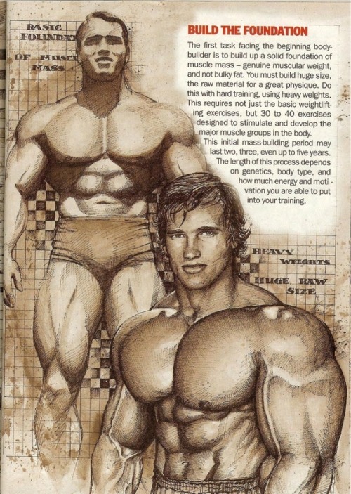 steadymirin:  always reblog arnold.