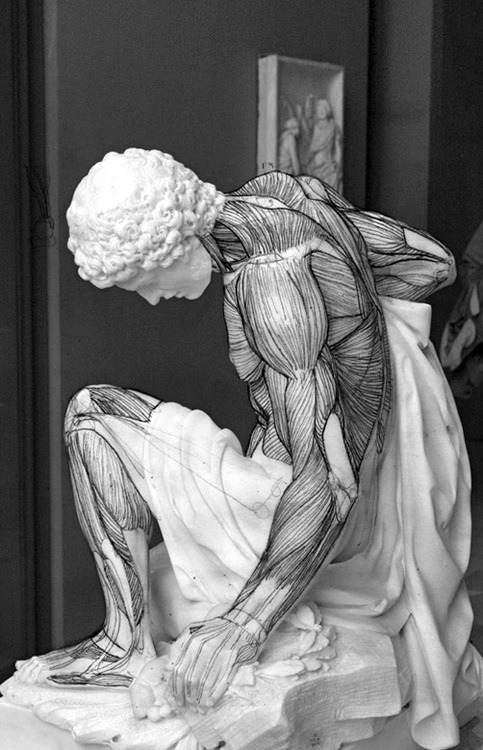 dabbaabba:  BeautifulOriginalInsightful…Wow