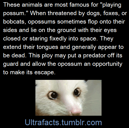 ultrafacts:  (Fact Sources: 1 2 3) Follow Ultrafacts for more facts