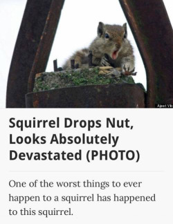 tastefullyoffensive:  Breaking News [x]  Oh noes