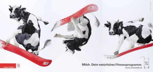 Ruf Lanz agency, poster for swiss milk, Your natural fitness program, 2009. Via Museum für Gestaltun