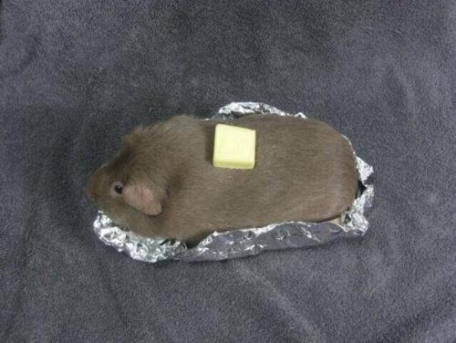 laughingsquid:Baked Potato Cosplay