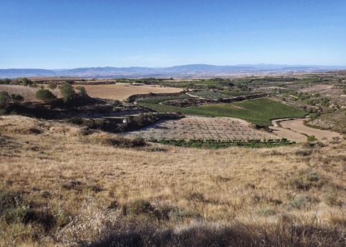 Valle del río Ebro, paisaje en Navarra, 2011.