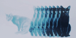 lacerati0n:  electric—acid:  join me☺