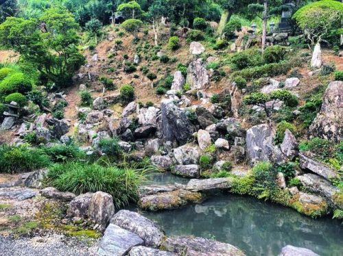 ＼おにわさん更新情報／ ‪[ 徳島県つるぎ町 ] 多聞寺庭園 Tamon-ji Temple Garden, Tsurugi, Tokushima の写真・記事を更新しました。 ーー剣山⛰の中腹の山岳