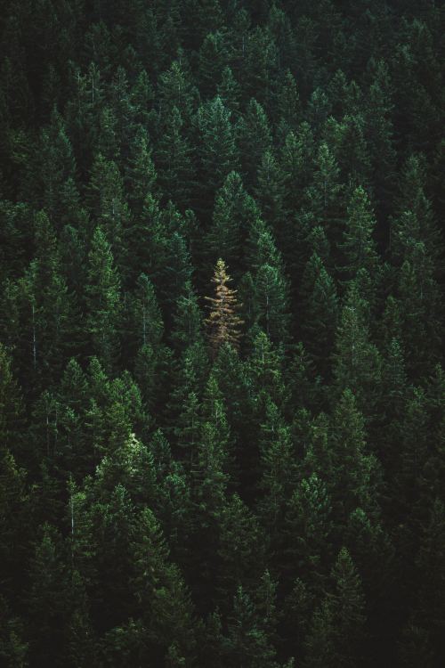 expressions-of-nature:Tatry, Poland by Mikita Karasiou