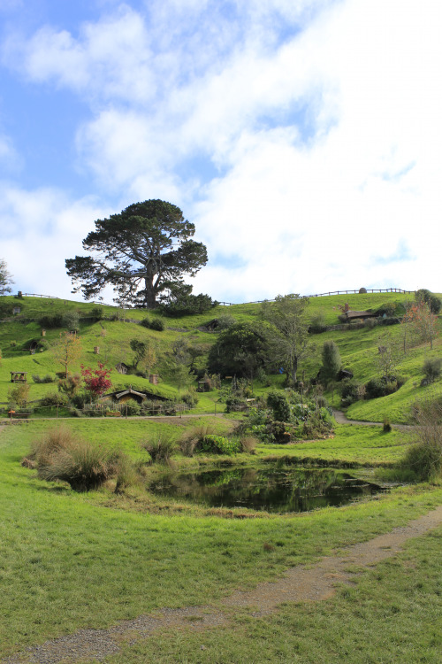 miritamoku:  fortysixthhour:  It began…well, it began as you might expect. In a hole in the ground, there lived a hobbit. Not a nasty, dirty wet hole full of worms and oozy smells. This was a hobbit hole. And that means good food, a warm hearth, and