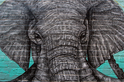 itscolossal:  An Elephant-Octopus Mural on the Streets of London by Alexis Diaz. 