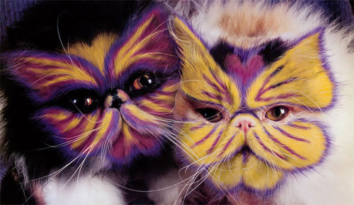 “Why Paint Cats: The Ethics of Feline Aesthetics” by Burton Silver and illustrator Heather Busch