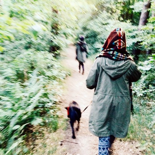 Holidays in the woods #intothewoods #forest #woods #nature #walk #wanderlust #wander #gypsy #hippie 