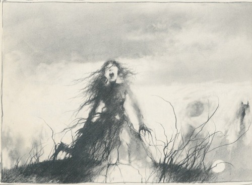 infectedzombie:  Gammell illustrations from ‘Scary Stories to Tell in the Dark’. 