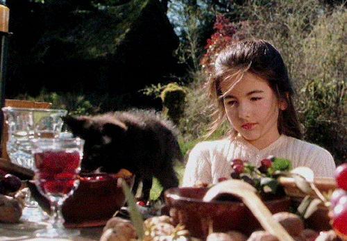 stevienick:✫ CATS IN FILM (5 / ∞)Practical Magic (1998)The