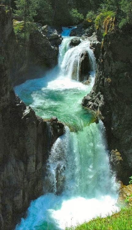 wild-tropics:  ☾ tropical/jungle blog ☼ 