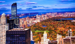  Central Park in full autumn embrace.   				Inga&rsquo;s Angle 				One shutterbug&rsquo;s take on the Big Apple 		  