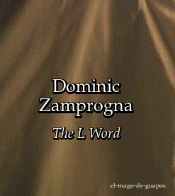 XXX el-mago-de-guapos:  Dominic Zamprogna The photo