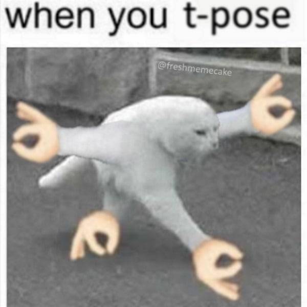 Cat t poses meme, T-Pose