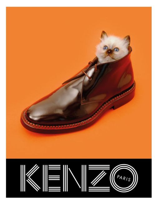 FB Special: Campaigns -  Kenzo Fall 2013 by Maurizio Cattelan, Micol Talso and Pierpaolo F