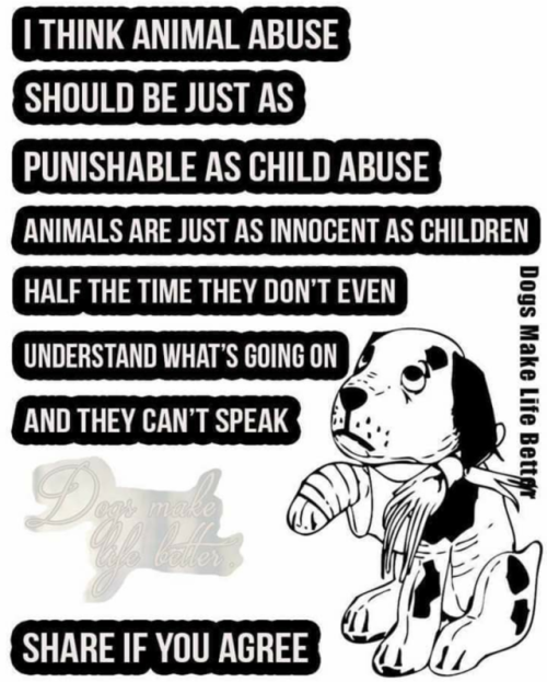 lotuslover19: People that abuse animals and children are the utmost subhumans. Period.
