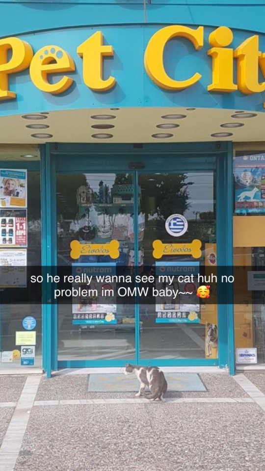 Do You Wanna See My Cat? Pt. 5