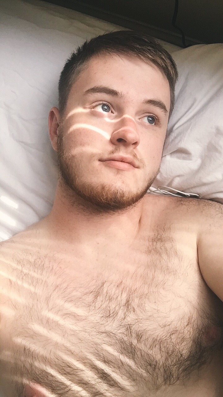 jellybiscuit:  a nice quiet day to create art and process life. 