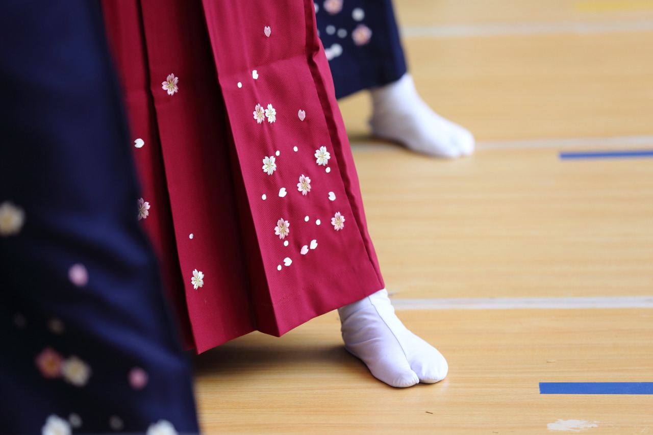 aurorae:  Form of Japanese martial art by Teruhide Tomori 