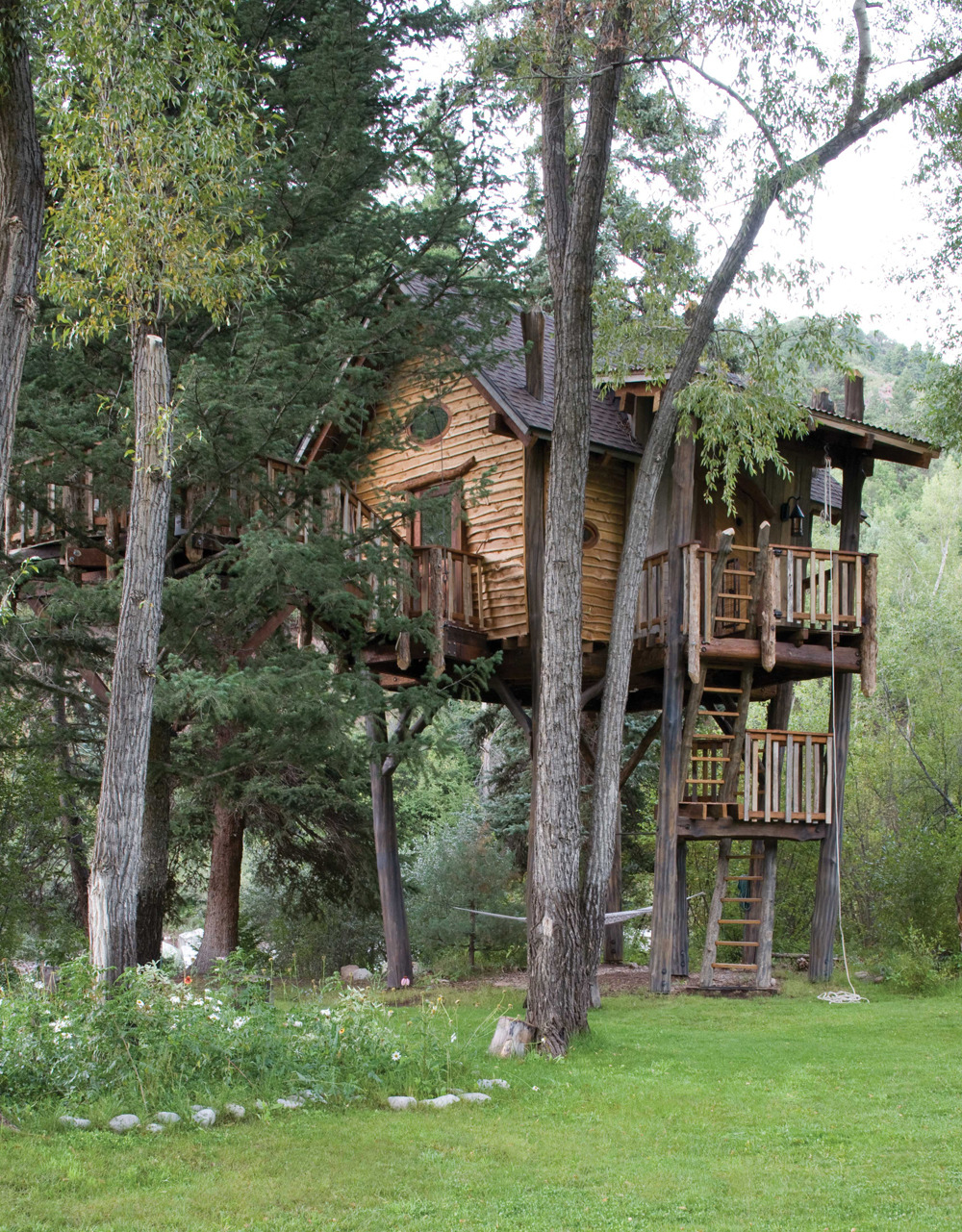 voiceofnature:  Crystal River Tree House, designed by Green Line Architects and “tree