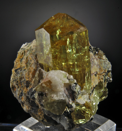 bijoux-et-mineraux:  Fluorapatite - Cerro de Mercado, Victoria de DurangoDurango, Mexico 