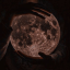 1st-poet-on-the-moon