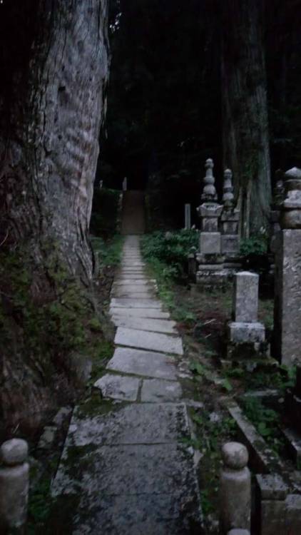 so-you-travel:Travel Tip #15: Go to the cemetery. Yeah it is a creepy thought. Why spend your vacati