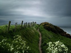 pagewoman:  Coastal Path, Stonehaven, Aberdeenshire, Scotland 