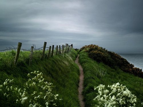 pagewoman:Coastal Path, Stonehaven, Aberdeenshire, Scotland