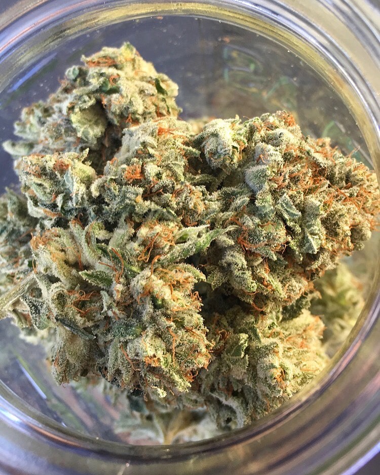 ohhyoufillmylungswithsweetness: Little bit of Gorilla Glue and the sunset 🌅