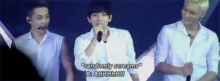 cyoels:  when an overexcited puppy went unstoppable… 