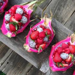 Highcarb-Vegan:  Haileys-Fitspiration:  Eat-To-Thrive:  Dragon Fruit Bowls!  Filled