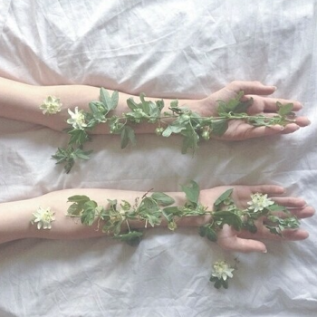 sgamoodboards:mlm moodboards → floral mlm aestheticrequested by anonymous