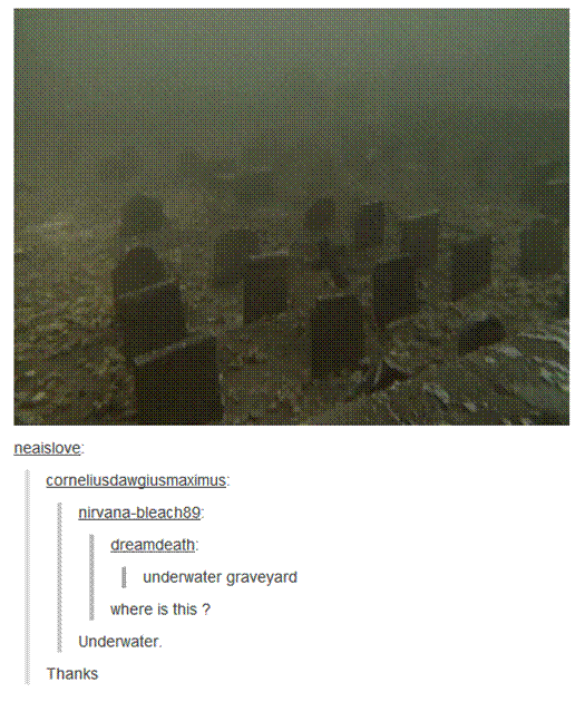 vivrant thing