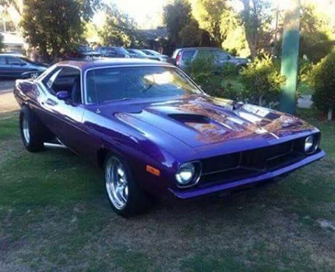 Mostly Mopar Muscle