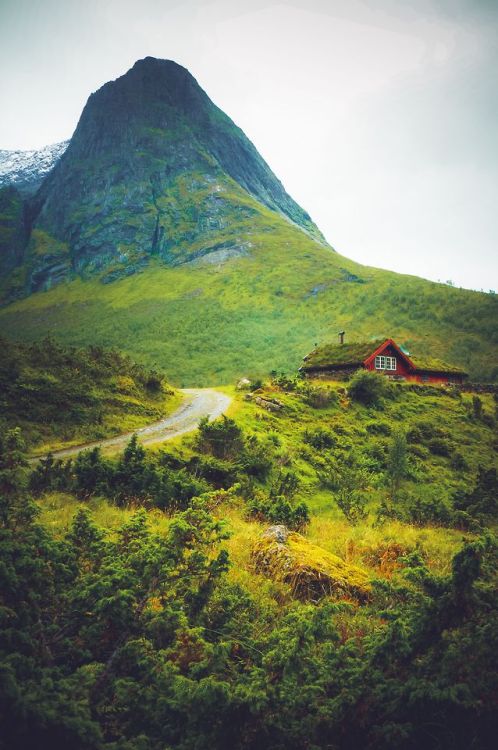 voiceofnature - Hiking in the Norwegian mountains. My Instagram ~...