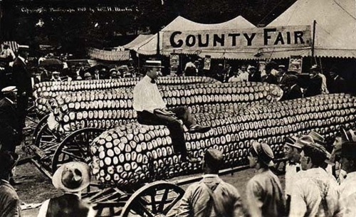 William H. Martin - Tall-tale postcard - County Fair, 1908.