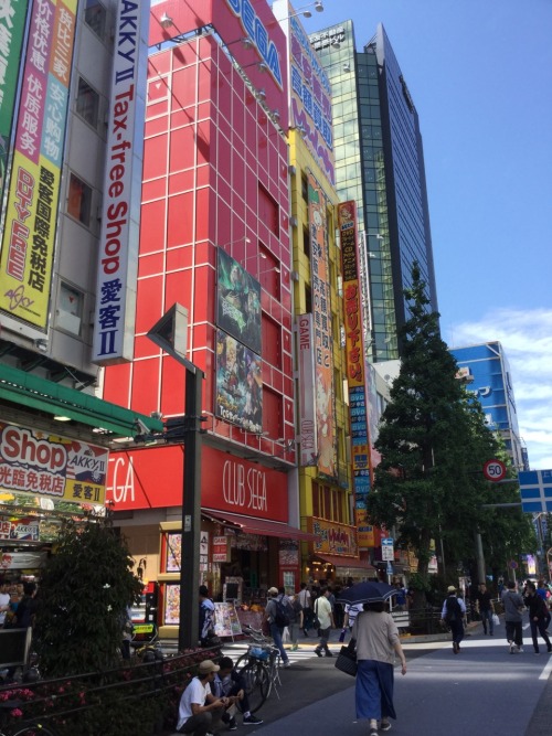 Sex adaliprado:  Akihabara, Japan. あきはぱら pictures