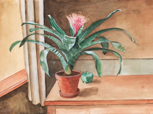 Untitled , Still life with Bromeliad   -     Franz Lenk , 1933.German,  1898 -1968Watercolor on draw