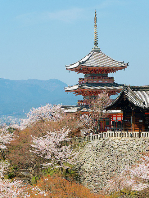 japan-overload: 三重塔と桜 - 清水寺 ／ Kiyomizu-dera Temple by Active-U on Flickr.