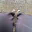 godiwannabepretty