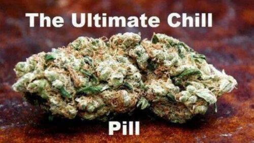 http://blowmelikekushhh.tumblr.com/post/118841336769