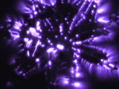Talweg Kirlian Photography Revealing Nature S Electrical