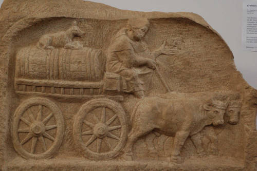 romegreeceart:Roman wine trade oxcart, from grave stele, Augsburg Roman Museum