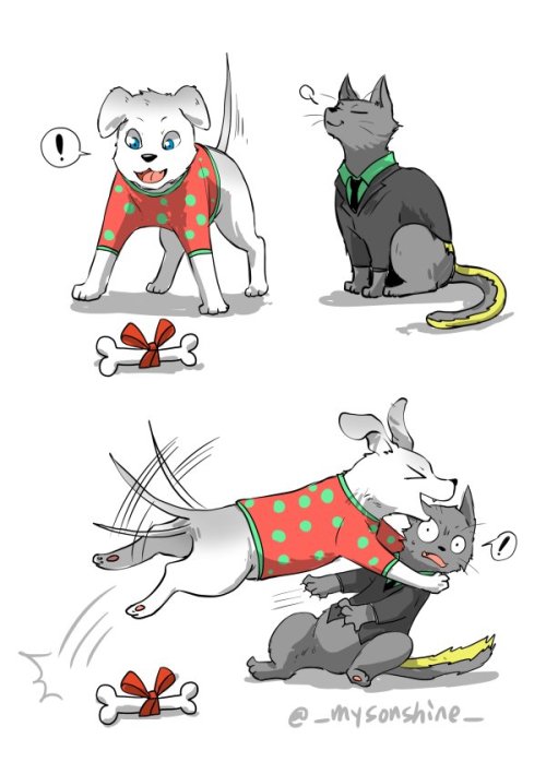 mysonshineblr: Cats hate lemons :-)