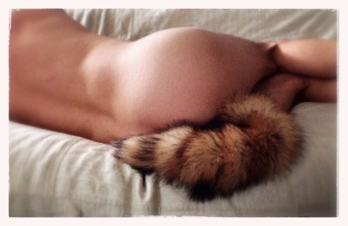 littlekin:  Relaxing with my tail.