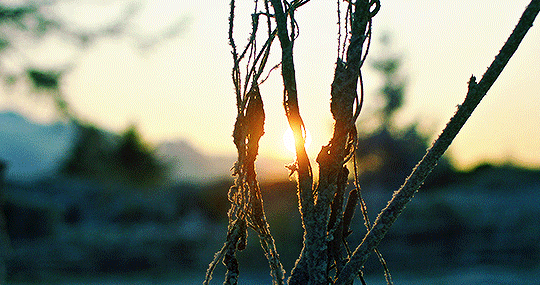 tumblr_pzqevpTglZ1y5w3vqo1_540.gif